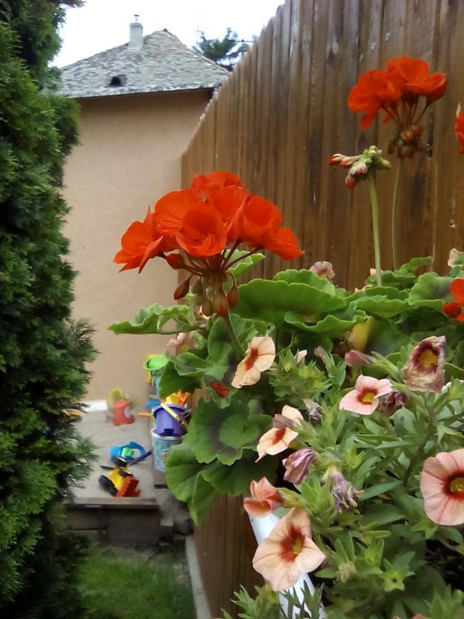 Csilla Apartman Makó Exterior foto